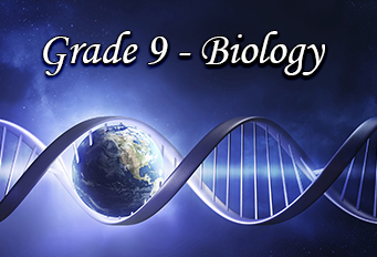 Grade 9th – Biology